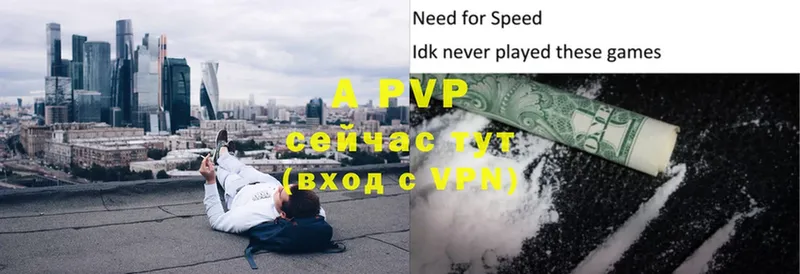 A PVP СК  Краснообск 